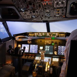 1 Hour Flight Simulator Experience